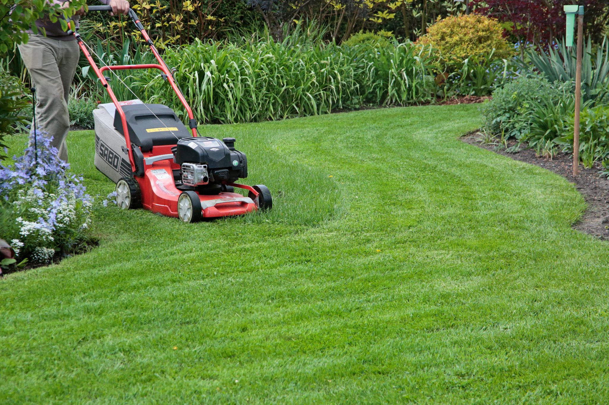 Lawn mowing and removal